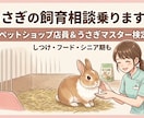 プロが実績作りのため、今だけ特別価格で対応します うさぎマスター検定2級所持のプロが、リアルな悩みを解決！ イメージ1