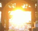縁結び‼️祈祷師が行います 大切な人とのご縁を結び人生を好転させてみませんか？ イメージ1