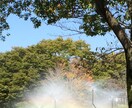 HSPさんのお悩みお話を聞いて寄り添います HSPさんの誰にも言えないお気持ちお話ください。 イメージ1