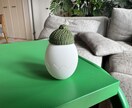 エコー写真をフィギュアにします エコー写真を3Dプリンターでフィギュアにします！ イメージ7