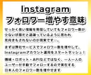 instagramフォロワー40〜300増やします 日本人フォロワー「＋40〜300人」手動で増やす宣伝拡散PR イメージ4