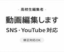 SNS用動画を見やすく編集します ・初心者の方も安心対応・修正柔軟に対応します イメージ1