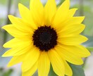 1分からOK!あなたのお話ききます ~優しく寄り添いながら本来の自分をとりもどそう~ イメージ2