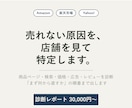 Amazon・楽天の店舗を診断し改善案を出します モール運営10年目の目で、売れない原因を探ります イメージ1