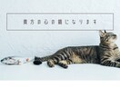 最後まで話を端折らず、否定せず、共感して聴きます どんな価値観でも否定しない傾聴 イメージ1