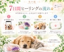 大切なペットを7日間クリスタルの光で癒します その子に合わせたクリスタルを選び、7日間やさしく寄り添います イメージ6