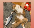 友人のインスタグラムふやせます インスタのコメントやメッセージを増やしたい方へ。 イメージ1