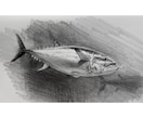 原画郵送♪  大切なペットを鉛筆でリアルに描きます 原画郵送/リアルな鉛筆スケッチ画/ポストカード〜A4まで イメージ5