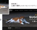 1000円でメインビジュアルやヘッダーを作成します WEB制作のプロがデザインを提供します。 イメージ2