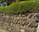 普段の生活での悩み、愚痴なんでも聞きます 悩みなどを打ち明けて少しでも気持ちが落ち着きますように イメージ1