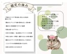 4000字～本格手相占い/写真解説も付きます お客様の状況を把握し、正確に読み解きます。写真と文でW解説 イメージ6
