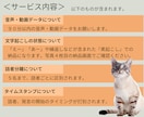 動画・音声90分まで2,000円で素起こします 【高精度AI対応】議事録やインタビューに最適！ イメージ2