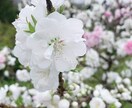 JKがあなたのお話を聞きます 今日1日、楽しかったこと、辛かったこと、沢山話してください イメージ1