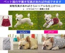 平置き写真からペット着用画像を作成します ペット服販売の商品ページに。平置き写真で作成可能。 イメージ3