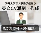 英文履歴書！人事＆英訳専門家が戦略的に仕上げます 【英文履歴書の専門コンサル】ー国家資格有、海外人事学位有ー イメージ1
