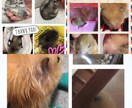 画像加工します 画像加工のやり方が分からない！そんなあなたへ イメージ1