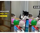 縦型ショート動画をキャラ×ナレ付きで制作します 思わずコメントしたくなる参加型ショート動画 イメージ10