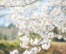 フィルムライクな雰囲気で写真を編集します あなたの見た景色を、フィルムのような一枚に イメージ2
