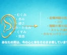 耳から心と体の状態を読み解きます あなたの不調の原因を耳から丁寧に読み解きます！ イメージ4