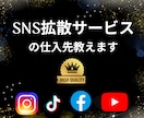 SNS拡散サービスの仕入れ先教えます インスタ/YouTube/Twitter/TikTok/副業 イメージ1