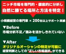 ニッチ市場で勝てるマーケティング戦略を設計します ひとり起業・小さな会社の「オリジナルオーシャン」が特定可能に イメージ2