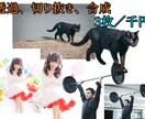 透過、合成など⋯あなたのお写真、加工します 写真の切り抜き、透過素材の作成、合成 イメージ1