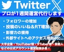 あなたのTwitter(X)をプロが運用代行します ご自身へのいいね・RT・フォロワーの増加等運営を全てお任せ！ イメージ1