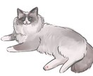 あなたのおうちのペット描きます 写実的な厚塗り画風で提供致します イメージ3