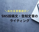 想いが伝わるSNS投稿文・告知文をお作りします 文字にするのが苦手。そんなお悩みに寄り添います。 イメージ1
