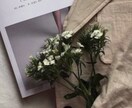 明日から男性にモテまくる方法教えます 出会った男性を虜にする振る舞いをマスターしてモテる人生に！ イメージ1