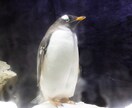 編集代行致します 実績作りのため特別価格！大切なお写真をもっと素敵に仕上げます イメージ4