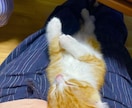 愚痴をお聞き致します ストレス発散しませんか？愚痴を思いっきりぶつけてください。 イメージ2
