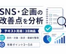SNS・企画の改善点を分析します テキスト完結・3日納品。改善点を整理します イメージ1