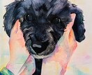 動物の似顔絵制作します アナログでの温かみのある絵になります！ イメージ3