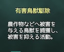 猟銃許可のスムーズな取り方教えます 狩猟を始めたい方！元警察官が必要書類やポイントを教えます！ イメージ4