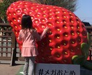 空枠あり！！今すぐ✨あたなとお話しお付き合いします ２６歳 2児のパパがあなたに癒しのひと時を提供します！ イメージ3