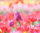 １０往復❣️あなたのペースでチャットします いつもお疲れ様です☘️時間を気にせずゆったりお話しませんか？ イメージ7