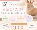 動物好き・繊細さんのお気持ち、丁寧にお聞きします ひとりで抱えなくて大丈夫です。繊細さんに寄り添います。 イメージ1