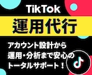 TikTok万アカ運用者が運用代行いたします 【採用｜問い合わせ増加】アカウント設計から運用までをサポート イメージ1