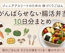 腸活弁当10日分まるごと教えます 強さは腸から作られる【弁当10日分】 イメージ1