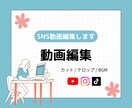 SNSショート動画編集します Instagram・TikTok・YouTube動画対応 イメージ1
