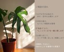 あなたらしい服選び、一緒に考えます “似合う”より、”しっくりくる”を大切に イメージ4