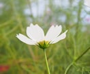 お医者さんへの伝え方一緒に考えます 受診前の不安や聞きたいことを整理します。 イメージ3