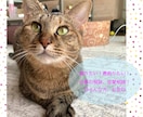 どんなことでも(o^^o)お話し聞きます 暇だな、今日誰とも話してないな、という方、お相手します◎ イメージ1