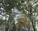 あなたとお話します 1分からでも大丈夫！！なんでも聞きます イメージ1