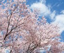 今日一日の嫌なこと、愚痴聞きます 愚痴、ぼやき全て受け止めます。スッキリさせて明日に備えて。 イメージ4