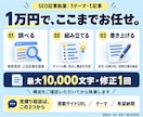 1万文字まで1万円でSEO記事を執筆します 美容医療（YMYL領域）も実績あり｜構成から執筆まで イメージ2