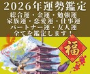 運勢鑑定の完全版！あなたの今年の運気を全て占います 2026年の金運/仕事運/恋愛運/家族運…霊視で全部教えます イメージ1