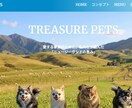 STUDIOでホームページ制作します コーディング不要、更新しやすいホームページ作成 イメージ1