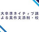 東大卒準ネイティブ講師が英作文を添削・校正します 英作文を自分で丸付け・正誤確認してもよくわからない方へ イメージ1
